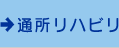 �ʏ����n�r��